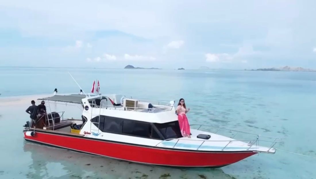 One day tour Komodo by speedboat - Komodo Tour Packages