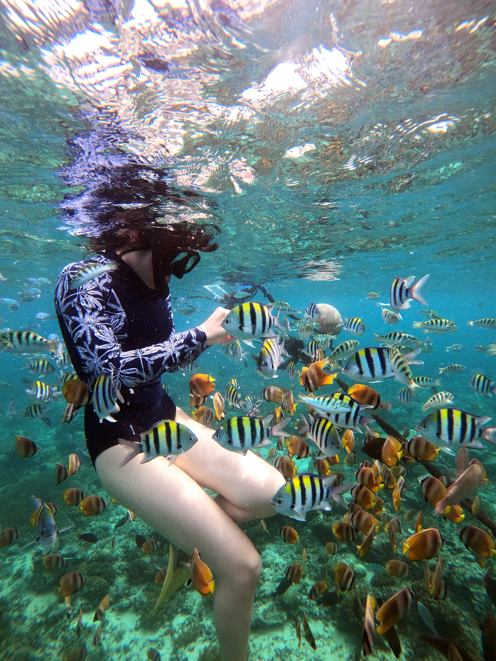 Gili island snorkeling excursion
