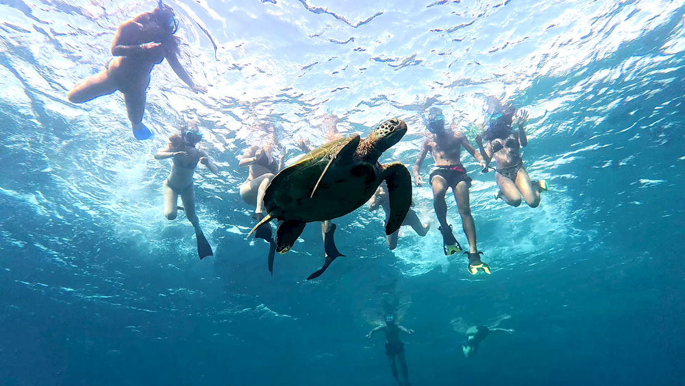 Snorkeling Gili island