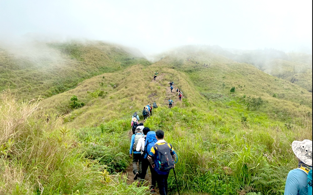 Golden Savanna Grass land - Sembalun Trekking Route